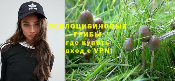 ALPHA PVP Елабуга