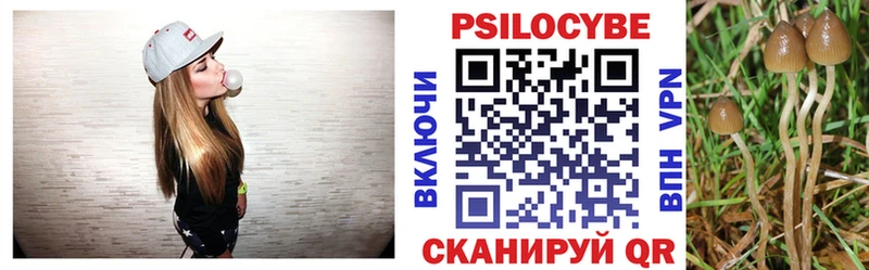 Галлюциногенные грибы Psilocybine cubensis  Купить где  Павловск 
